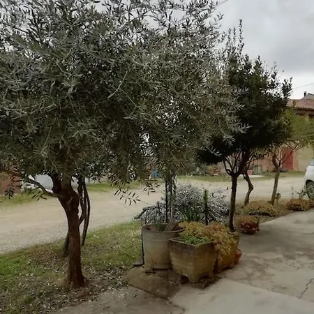 L'ulivo,casa Di Campagna. * Cortiglione
