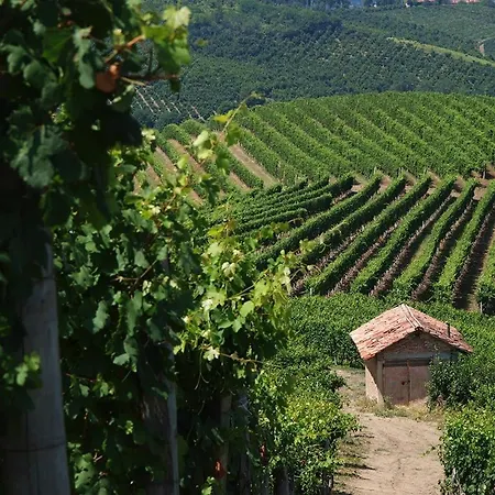 L'ulivo,casa Di Campagna. Casa vacanze Cortiglione