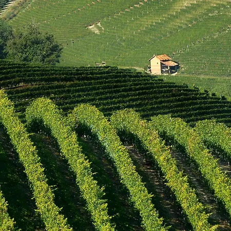 L'ulivo,casa Di Campagna. Cortiglione
